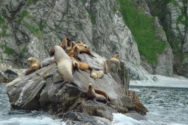 2023年6月13日适合签约吗 适合签约吗