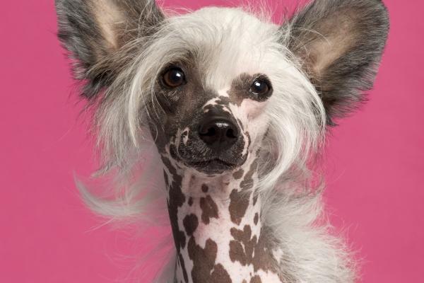 2023年6月15日结婚好不好 是结婚吉日吗