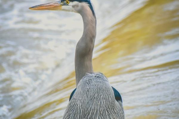 哪个星座最讨人厌?最终答案可能会让你很吃惊!