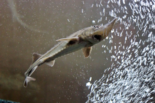 唐绮阳天秤座2023年6月运势详解