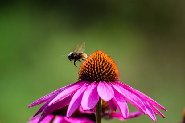 2023年6月23日适合签约吗 黄历查询
