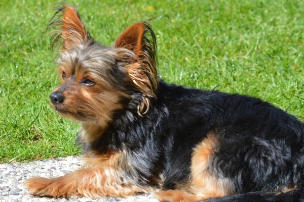 双子座6月份运势2023年 2023年6月双子座运势详解