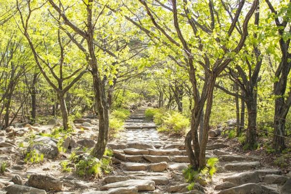 天蝎座6月份运势2023年 2023年6月天蝎座运势详解