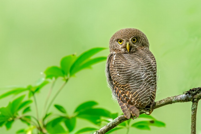 2023年6月7日可以搬家吗 是不是搬家最佳日期