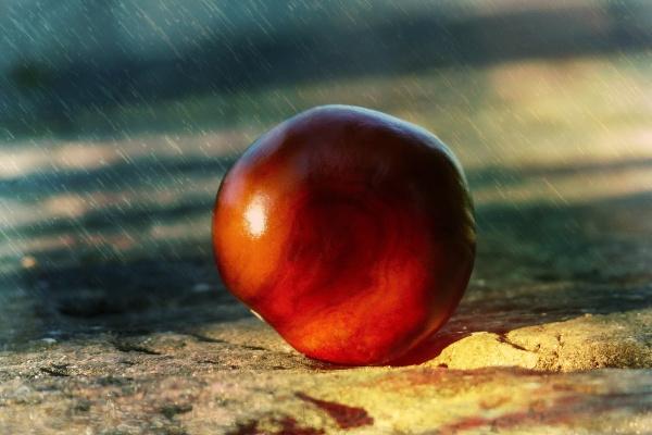 摩羯座2023感情大预言,摩羯座今年感情运势如何最新分析