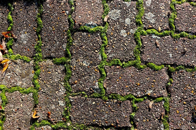 2023年6月4日出门好不好 是出去玩吉日吗