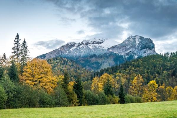 闹闹女巫 0526十二星座今日运势