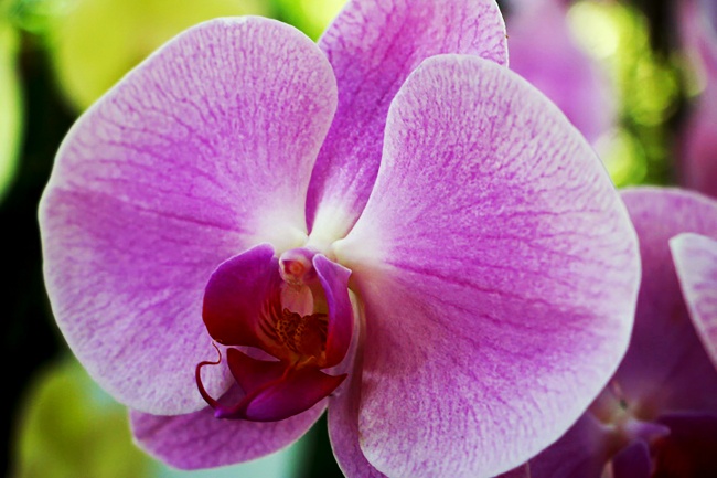 2023年6月9日出行好不好 出门怎么样