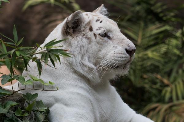 2023年6月6日出行吉时 芒种出门怎么样