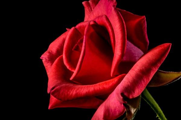 2023年6月3日黄历吉时 最吉利的时间