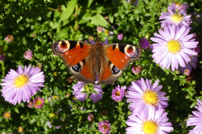 2023年6月4日动土好吗 可以破土吗