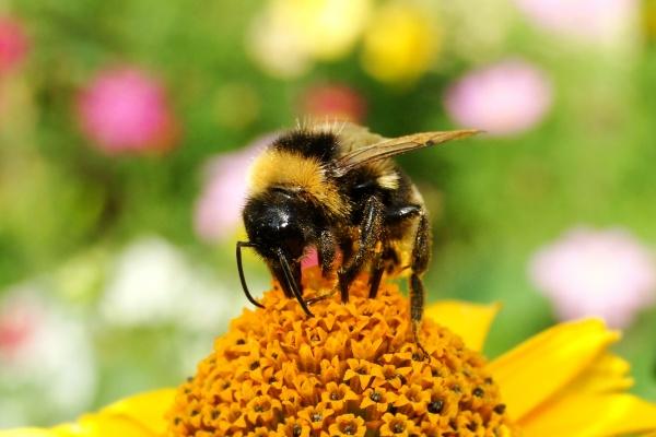 双鱼座2023年下半年有哪些大劫 太可怕了吗