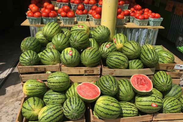 2023年6月3日财神方位 求财的方向一览