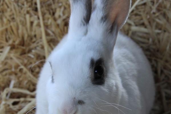 2023年6月9日财神在哪个方位 求财的方向一览