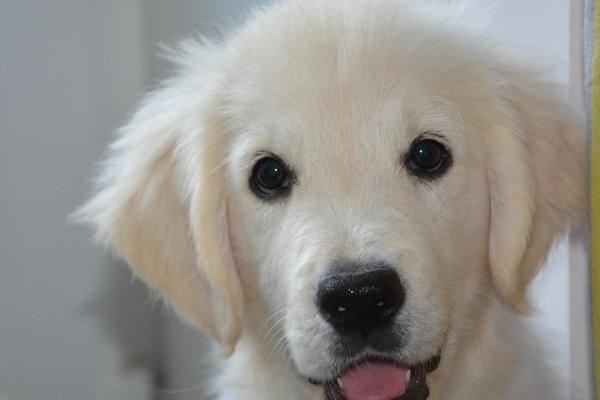 2023年6月10日可以安门吗 是安门黄道吉日吗