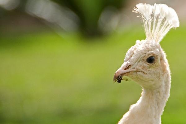 特别有担当的3大星座男!为爱情倾尽所有,为恋人遮风挡雨