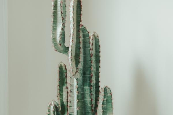 2023年6月9日黄历吉时 旺运势时辰查询表