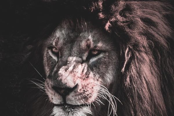 白羊座2023年9月贵人运走向 整体运势有波动?