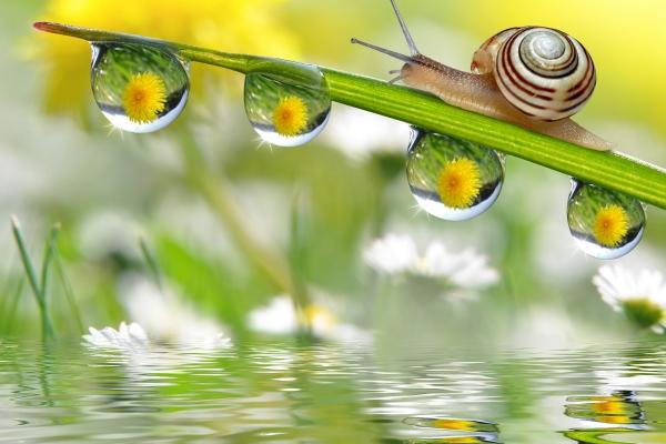 2023年金牛座贵人运9月运程详解 偏财星影响下运势走势如何