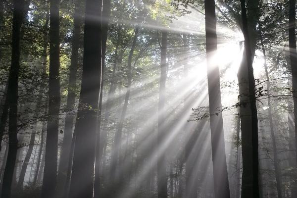 属兔今年下半年每月运势 2023年下半年运势完整版