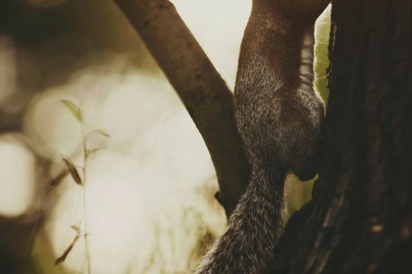 拥有超高智商的三大星座 哪些优点造就了他们?