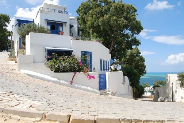 小乖麻 本周运势提醒2023/05/29-06/04