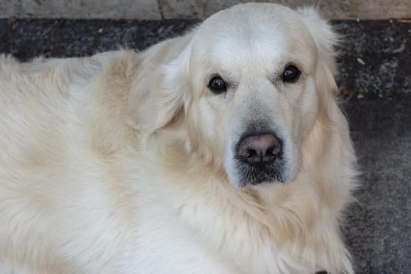 2023年6月8日吉时是几点 旺运势时辰查询表