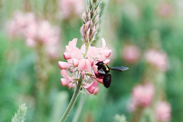 2023年6月7日宜动土吗 适合建房子吗