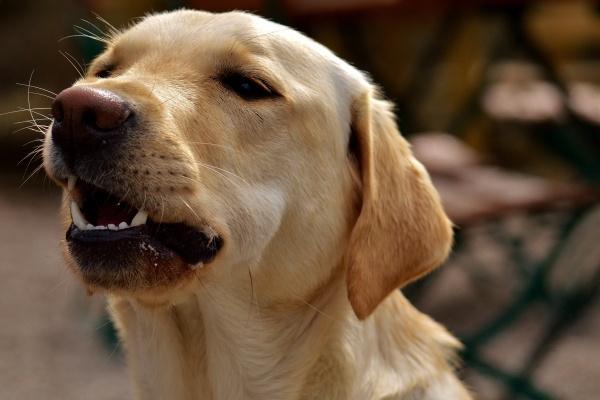 2023年6月8日入宅日怎么样 入宅吉利吗