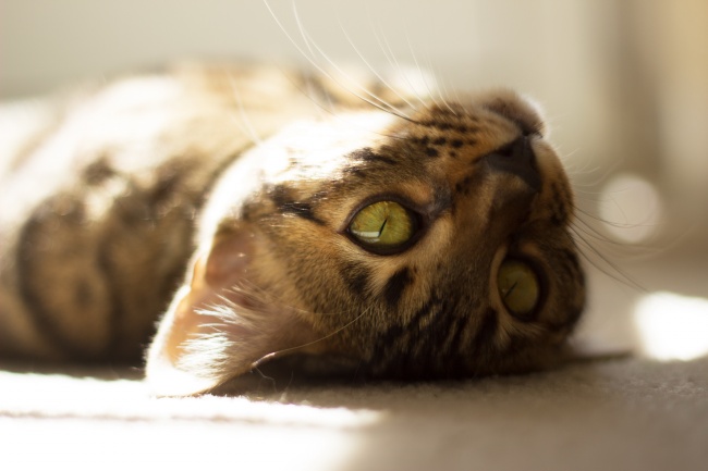 2023年6月9日五行穿衣颜色 穿什么颜色衣服适合