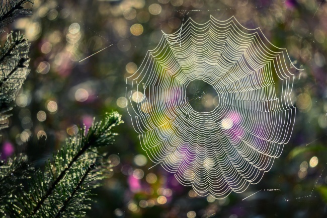 2023年6月7日入宅好不好 是入宅最佳日期吗