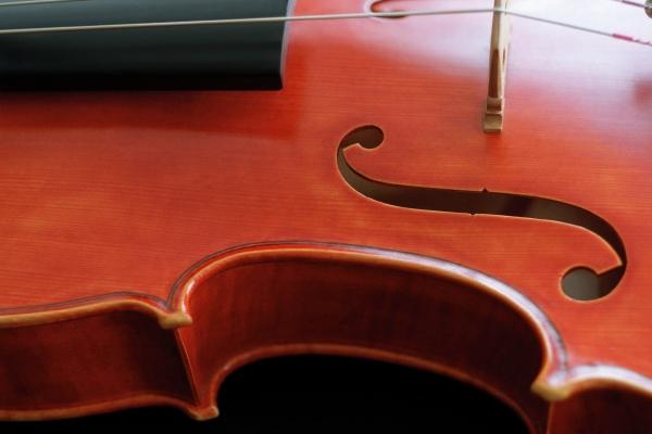 双子女千万别爱上狮子男 爱到停不下来!