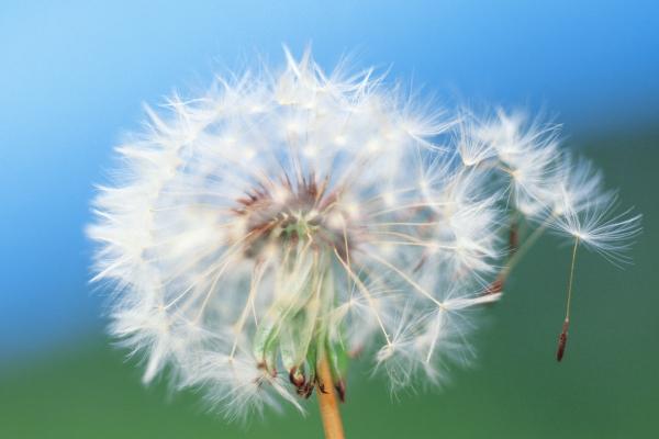 巨蟹为什么吸引天蝎 他们水火不容?