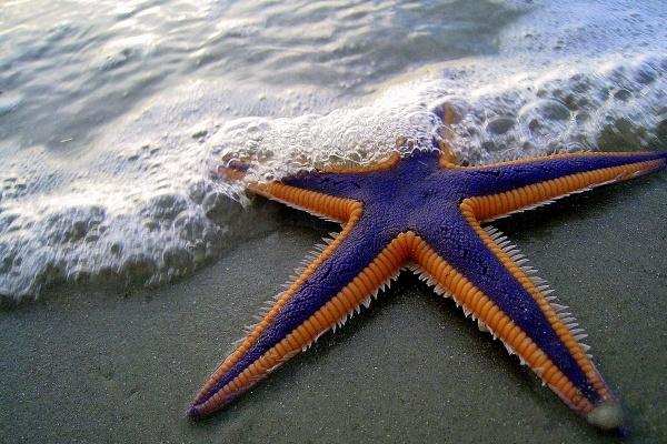 2023年6月13日出门好不好 出门怎么样