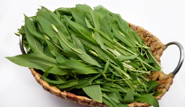 苏珊米勒 今日星座运势查询6.2