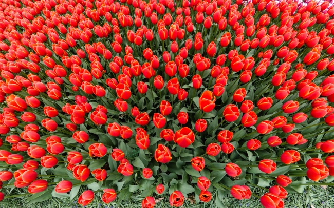 2023年6月装修开工吉日 六月份装修吉日