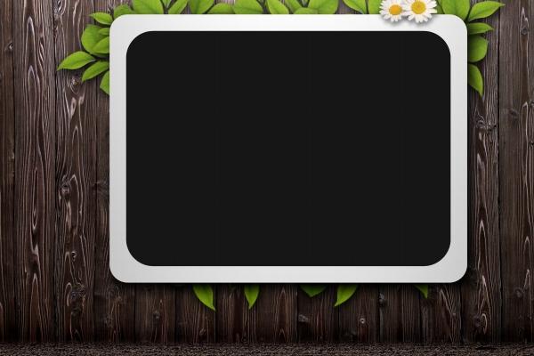 闹闹女巫 0601十二星座今日运势