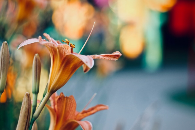 2023年6月9日适合入宅吗 是吉祥的日子吗