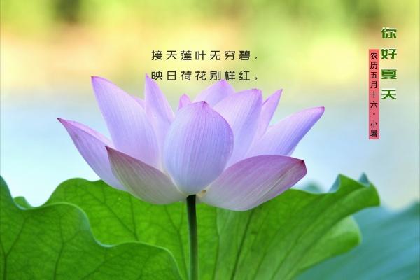 巨蟹座为什么和天蝎座最配 只是想玩玩而已?