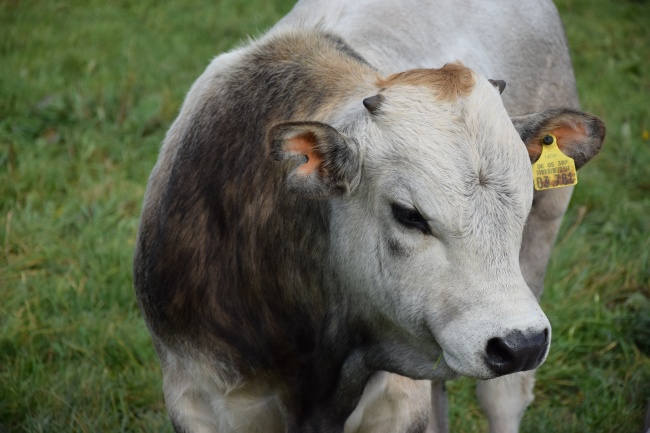 2023年6月8日适合搬家吗 今天搬迁好不好