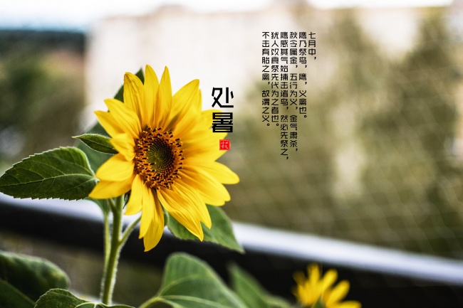 2023年6月14日搬家好不好 宜搬家入新房吗