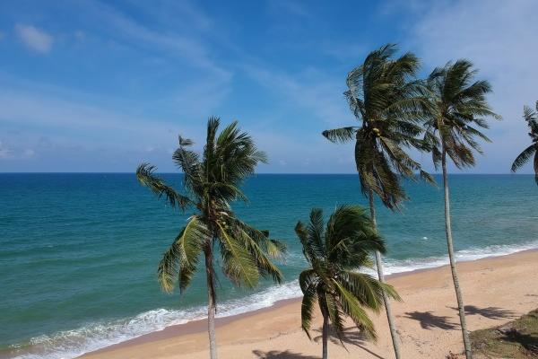 2023年6月15日出门好不好 出行吉利吗