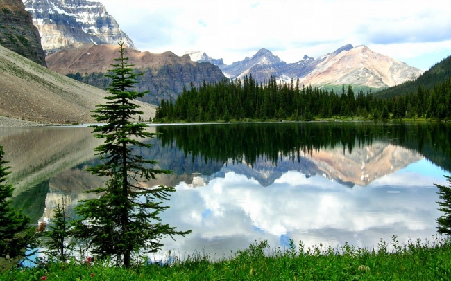 2023年6月11日入宅好吗 可不可以搬入新房