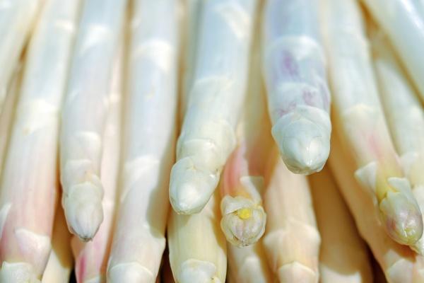 2023年6月22日可以装修吗 端午节是不是装修最佳日期