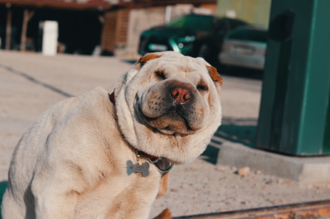 2023年6月25日吉时查询 今日吉凶时辰表