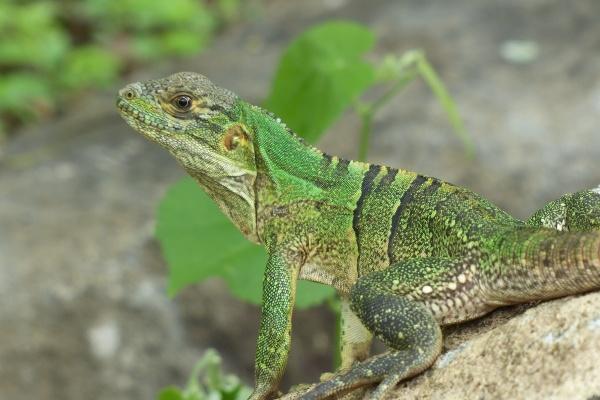 2023年7月开业黄道吉日查询 7月开业大吉的日子