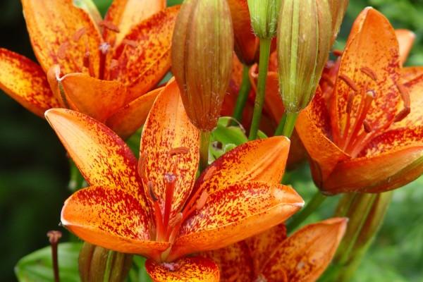 2023年6月18日可以装修吗 这天修房装潢可以吗