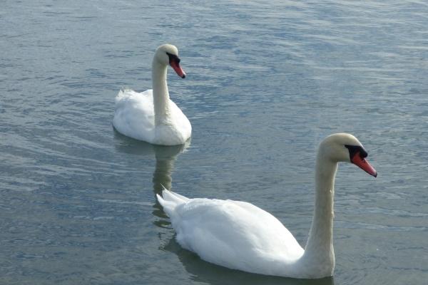 2023年6月15日适合入宅吗 是吉祥的日子吗