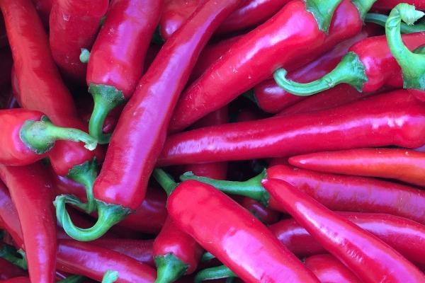 2023年6月21日装修好不好 夏至是不是黄道吉日