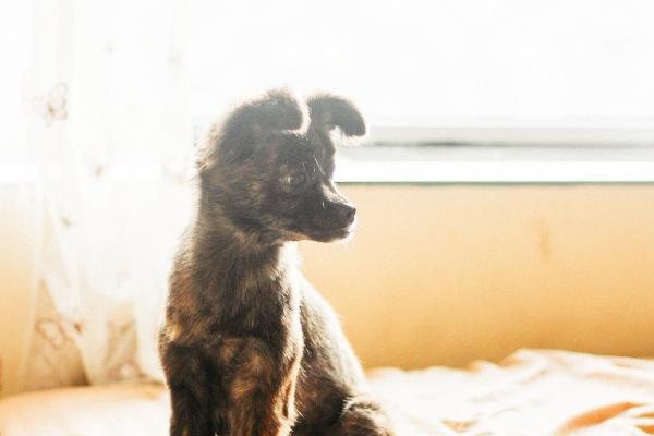 算一生有几个子女免费 怎样查命中有几个孩子的